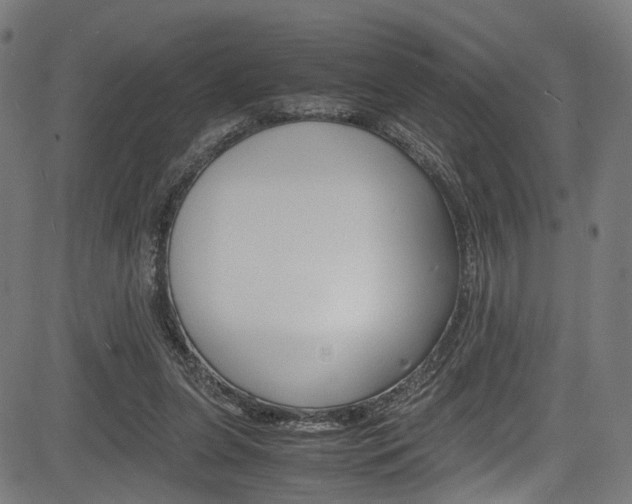 X0000085210255200703090836