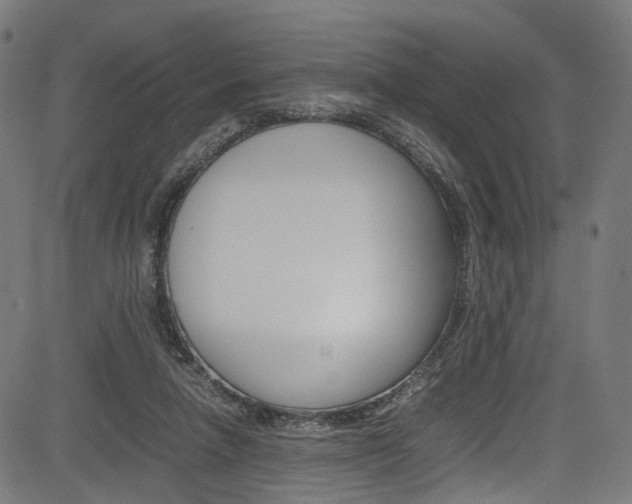 X0000085210258200703090836