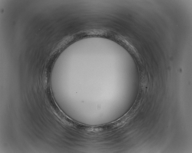 X0000085210261200703090836