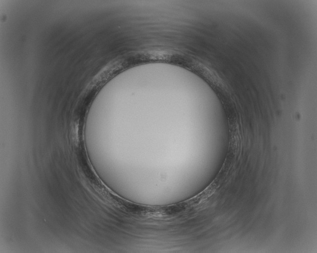 X0000085210262200703090836