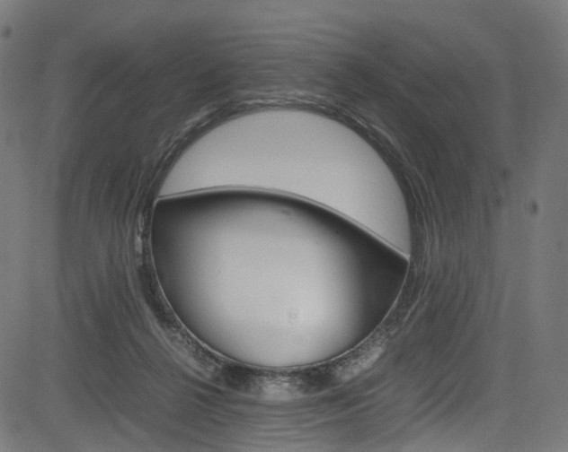 X0000085210264200703090836