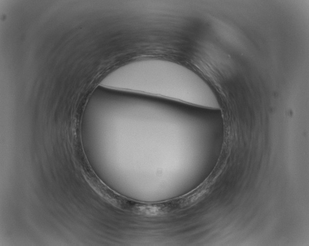 X0000085210265200703090836