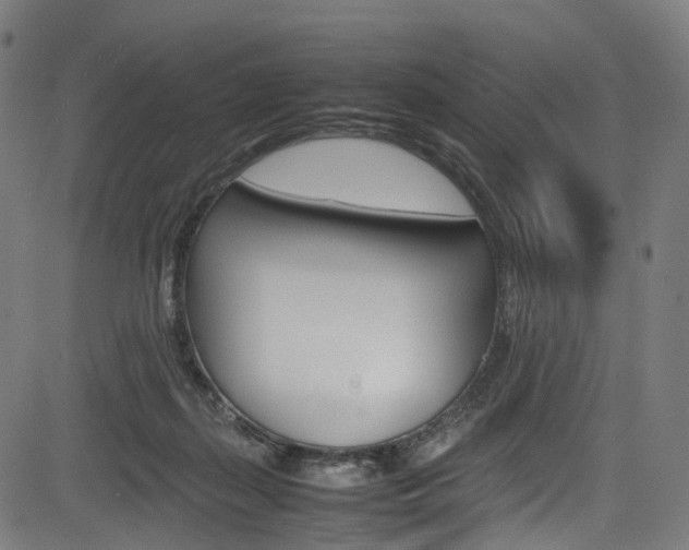 X0000085210267200703090836