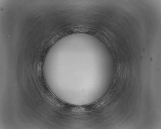 X0000085210271200703090836