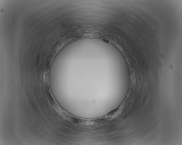 X0000085210276200703090836