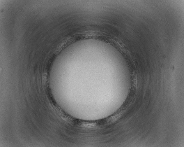 X0000085210283200703090837