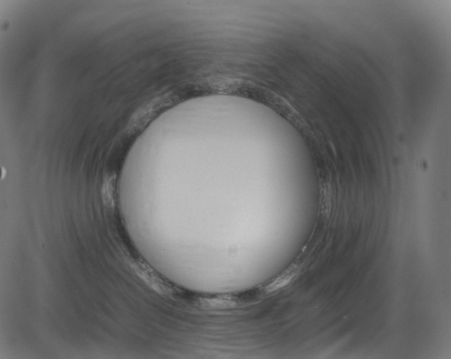 X0000085210286200703090837