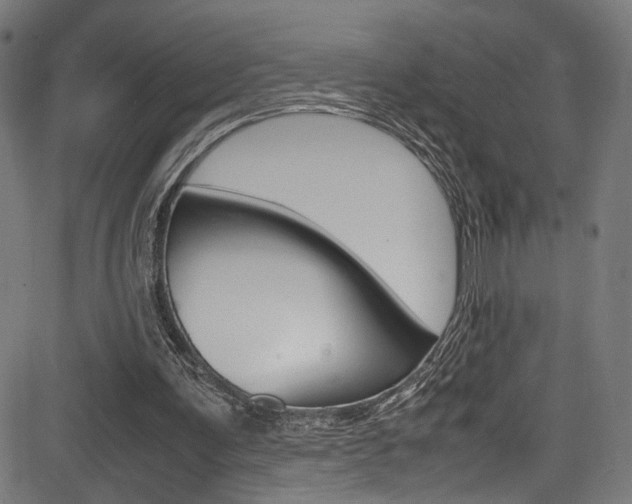 X0000085210291200703090836