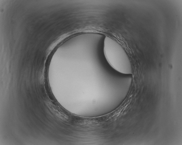 X0000085210292200703090836