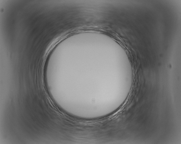 X0000085210293200703090836
