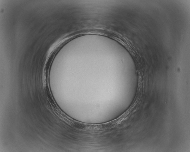 X0000085210294200703090836