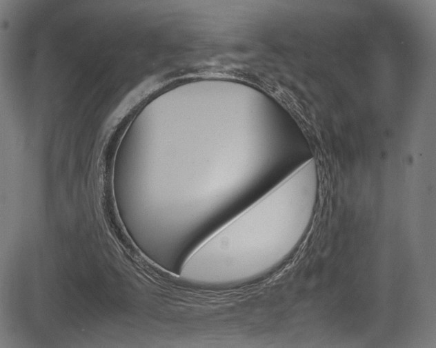 X0000085210295200703090836