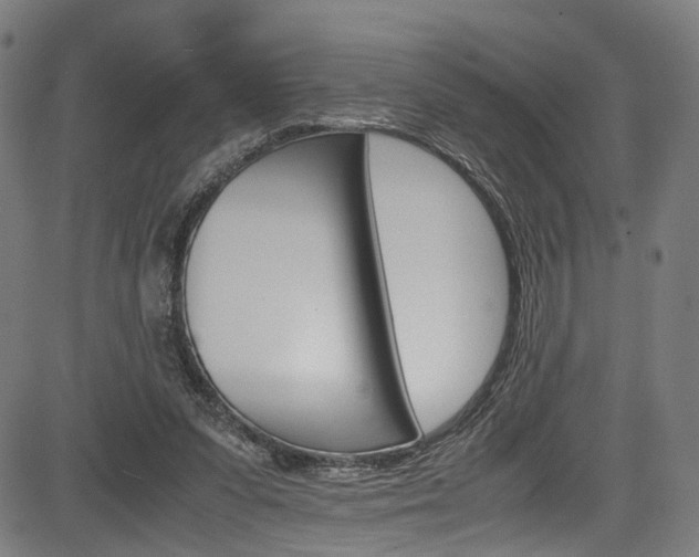 X0000085210303200703090836