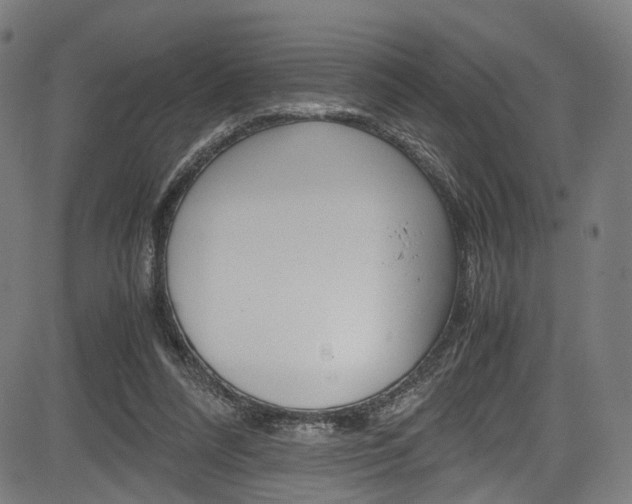 X0000085210304200703090836
