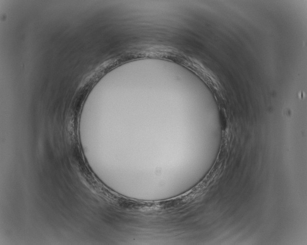 X0000085210306200703090836