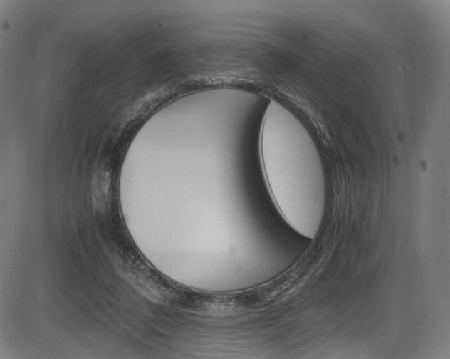 X0000085210308200703090836