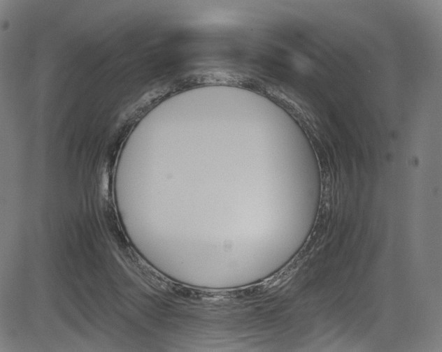 X0000085210310200703090836