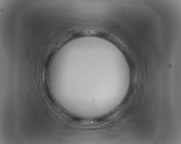 X0000085210315200703090835