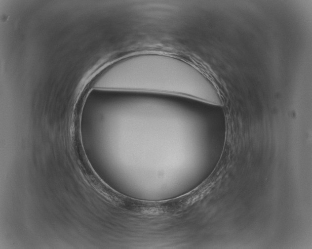 X0000085210344200703090834