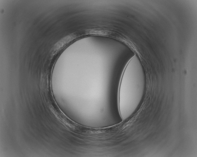 X0000085210349200703090834