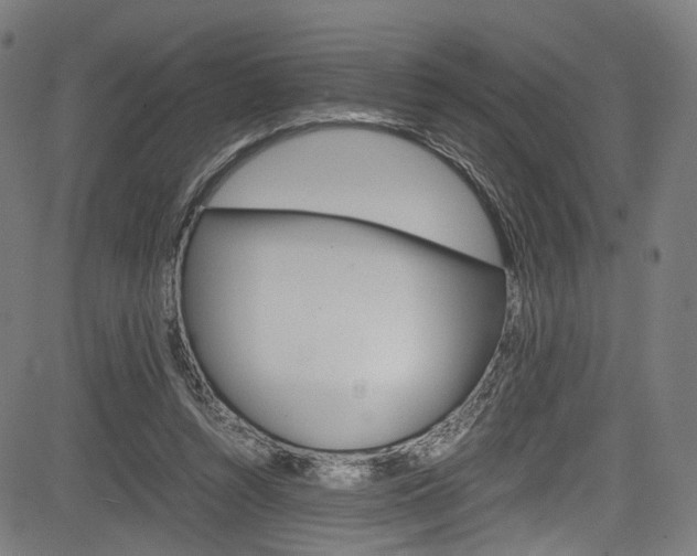 X0000085210352200703090835