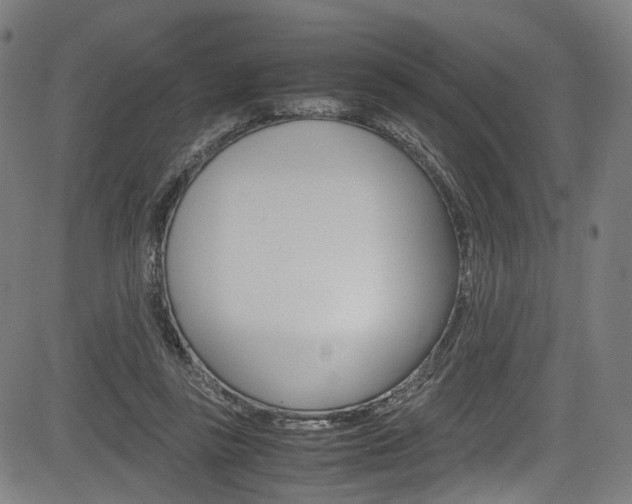 X0000085210355200703090835