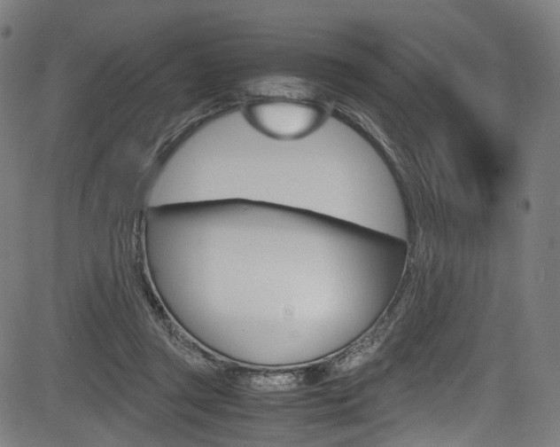X0000085210357200703090835