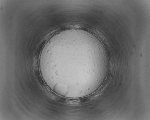 X0000085210359200703090835