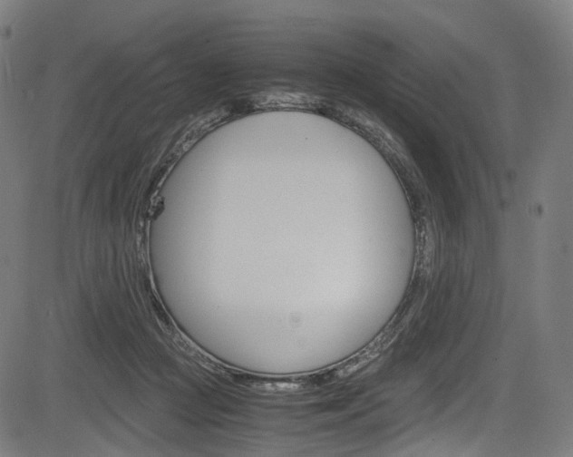 X0000085210361200703090835