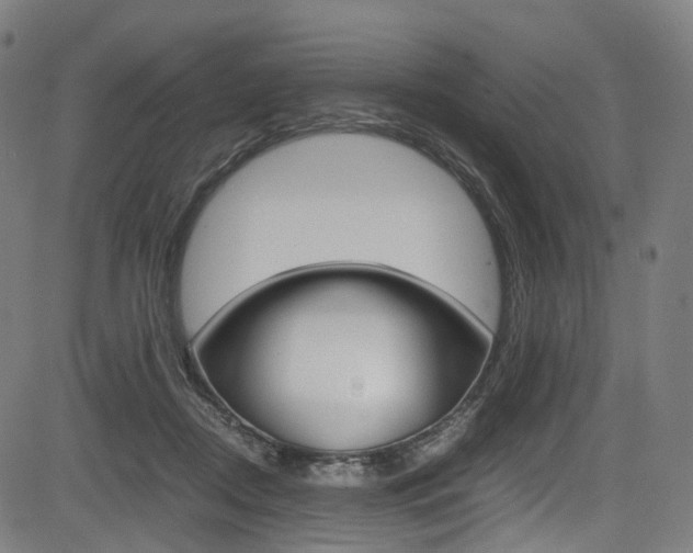 X0000085210362200703090835