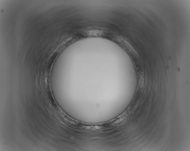 X0000085210363200703090835