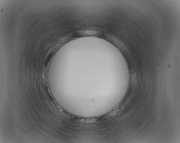 X0000085210373200703090835