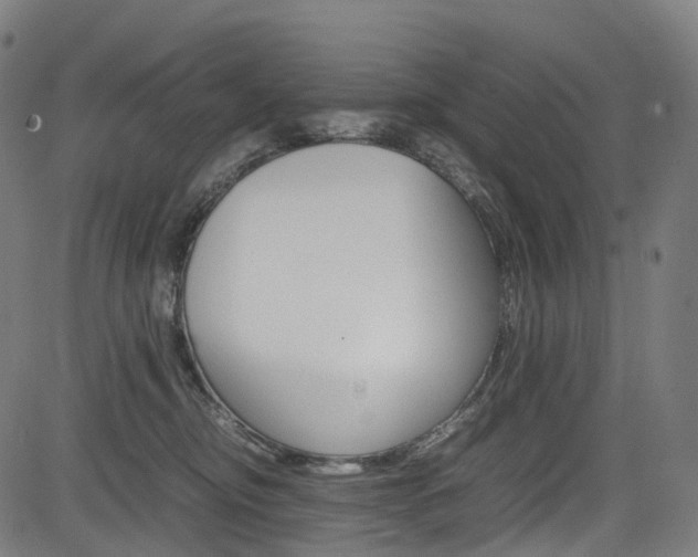 X0000085210374200703090835