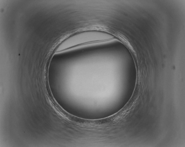 X0000085210389200703090834