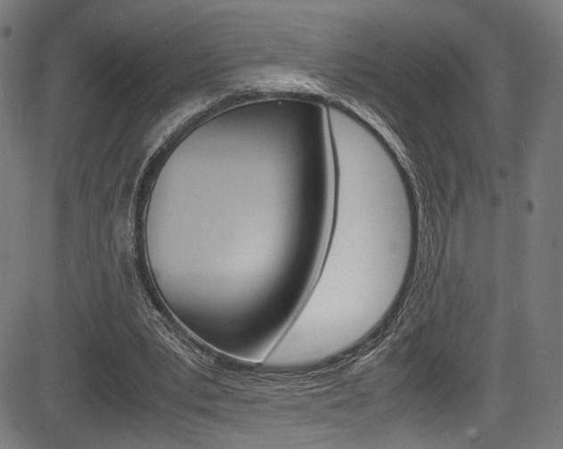 X0000085210391200703090834