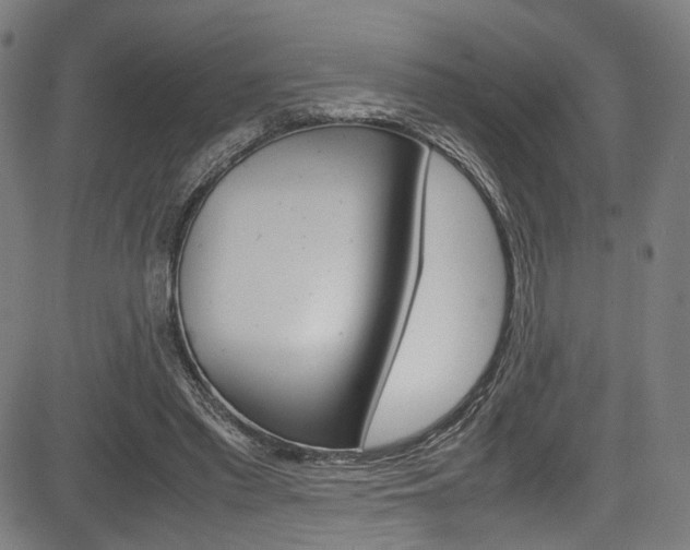 X0000085210397200703090834