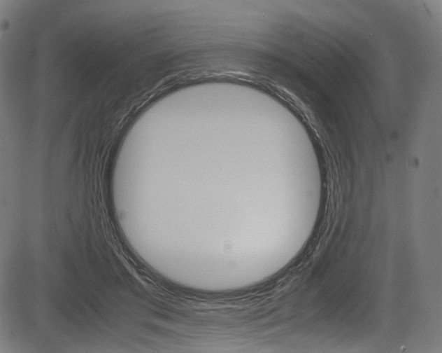 X0000085210405200703090834