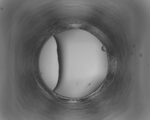 X0000085210406200703090834
