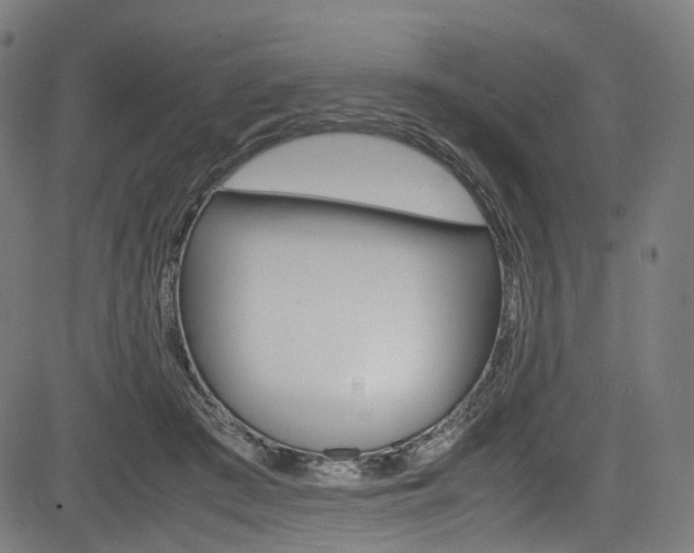 X0000085210409200703090834