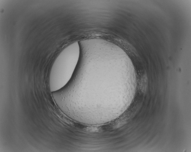 X0000085210418200703090834