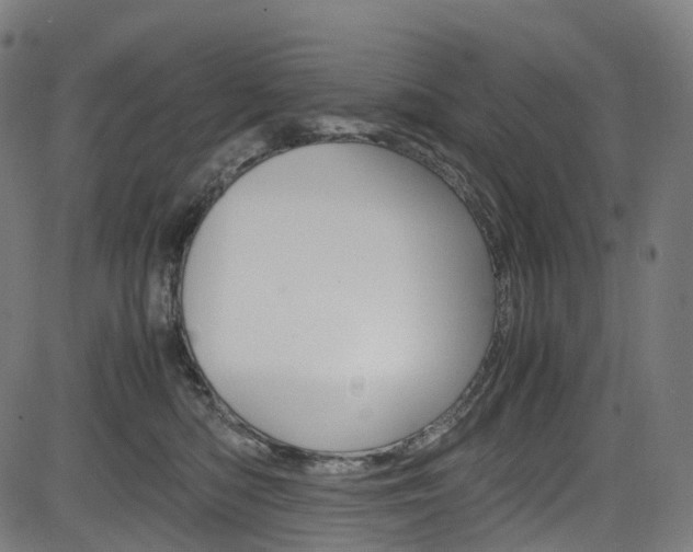 X0000085210422200703090834