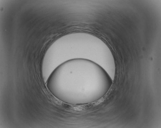 X0000085210423200703090834