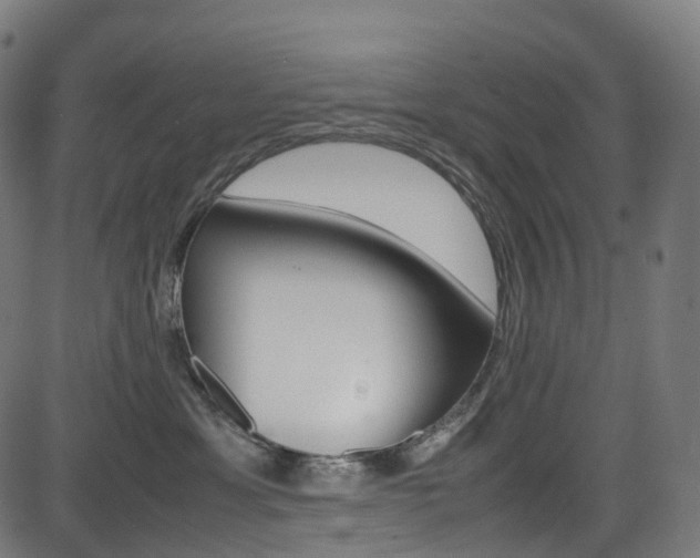 X0000085210429200703090834