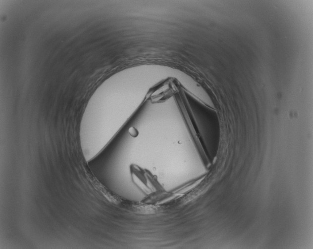 X0000085210432200703090833