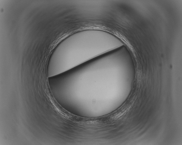 X0000085210433200703090833