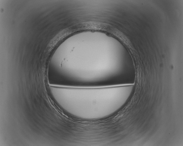 X0000085210434200703090833