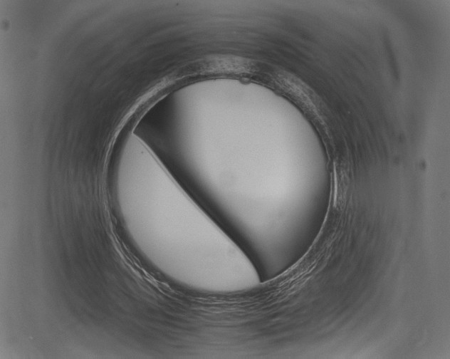 X0000085210435200703090833