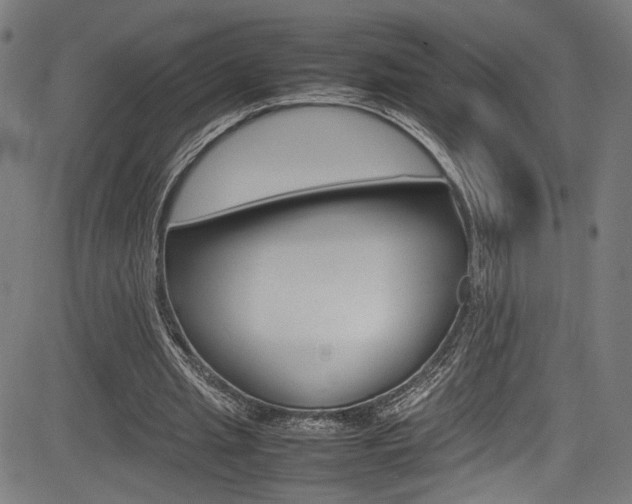 X0000085210437200703090833