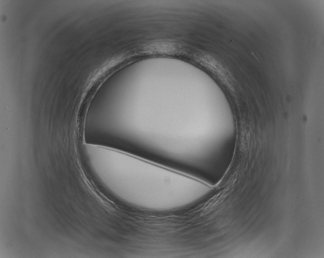 X0000085210439200703090833