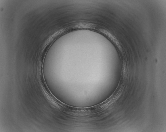 X0000085210445200703090833
